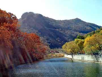 實(shí)時(shí)發(fā)光與創(chuàng)意商品，點(diǎn)亮未來(lái)璀璨明珠，引領(lǐng)生活新潮流