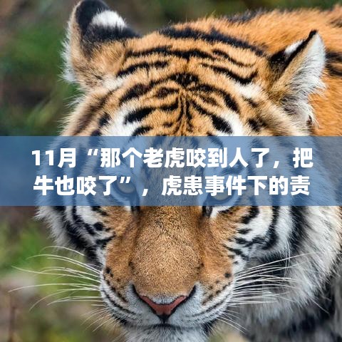第3669頁