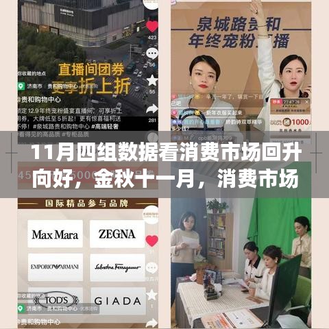 金秋十一月消費(fèi)市場(chǎng)回暖趨勢(shì)解析，四大數(shù)據(jù)揭示市場(chǎng)回升向好態(tài)勢(shì)