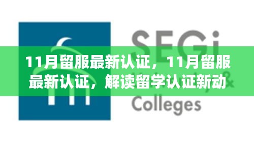解讀最新留服認(rèn)證動(dòng)態(tài)，助力留學(xué)生職業(yè)發(fā)展，十一月留學(xué)認(rèn)證更新概覽