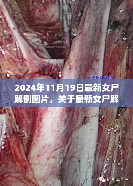 忠心耿耿 第6頁