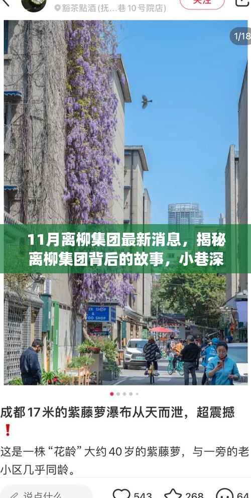 離柳集團最新揭秘，小巷深處的獨特風(fēng)味小店十一月探訪之旅