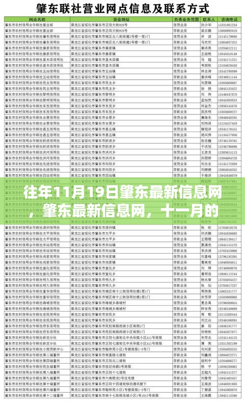 肇東最新信息動態(tài)，十一月回響與時代印記