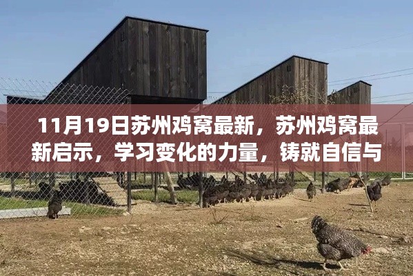 蘇州雞窩最新啟示，學(xué)習(xí)變化的力量，鑄就自信與成就之路
