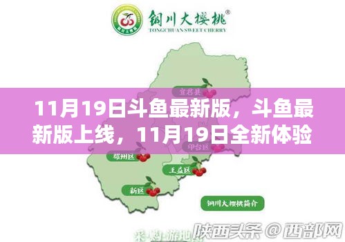 斗魚最新版上線，全新體驗(yàn)來襲，11月19日獨(dú)家呈現(xiàn)！