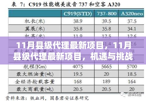 11月縣級代理最新項目，機遇與挑戰(zhàn)并存