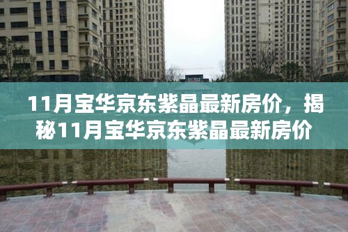 揭秘，11月寶華京東紫晶最新房價與投資先機(jī)全解析！