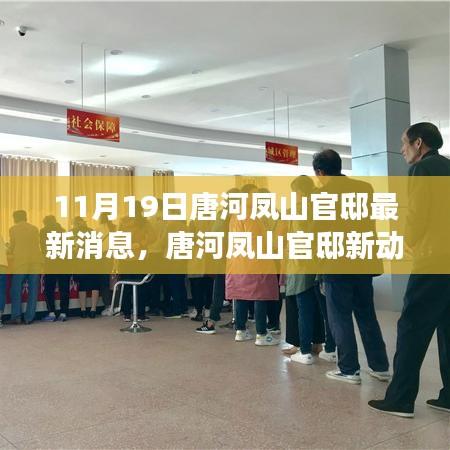唐河鳳山官邸新動(dòng)態(tài)，蛻變之月，學(xué)習(xí)成就自信之光