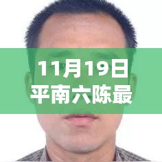 平南六陳最新動態(tài)報道，聚焦要聞，揭秘11月19日最新消息