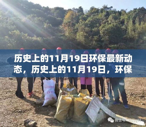 歷史上的環(huán)保新篇章，11月19日的綠色動(dòng)態(tài)與挑戰(zhàn)中的自信成就未來。