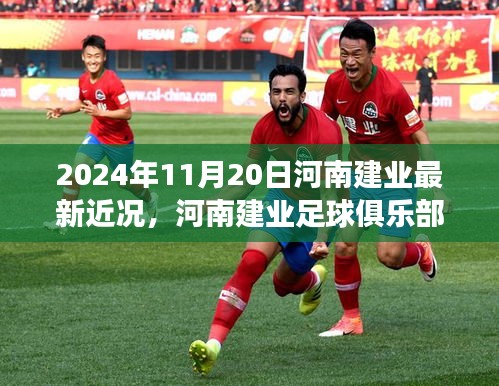 河南建業(yè)足球俱樂部最新動態(tài)及參與指南，2024年11月更新版