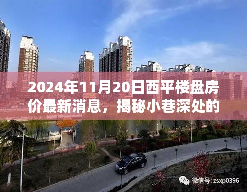 揭秘繁華西平樓盤(pán)背后的神秘小店與最新房?jī)r(jià)動(dòng)態(tài)，2024年西平房產(chǎn)最新消息及小巷風(fēng)情探索