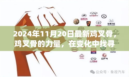 勵志之旅，雞叉骨的力量與自信成就感的探尋之路（2024年11月20日最新）