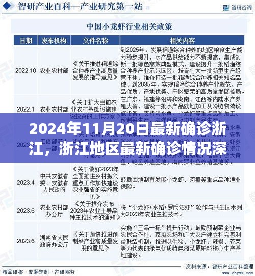 浙江最新確診深度解析，挑戰(zhàn)與機(jī)遇并存——浙江地區(qū)疫情報(bào)告（2024年11月20日）