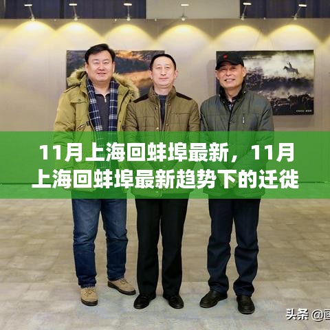 11月上?；匕霾鹤钚纶厔萦^察與遷徙個人觀點分享