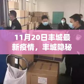 豐城隱秘小巷，疫情下的獨特風(fēng)味探秘——最新疫情觀察報告（11月20日）