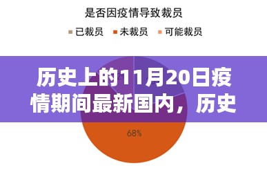 我的觀點，歷史上的11月20日與疫情期間國內(nèi)現(xiàn)狀的探討