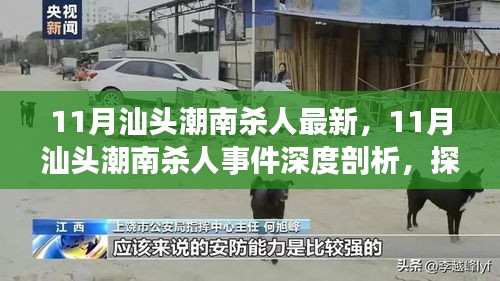 汕頭潮南殺人事件深度剖析，探究背后的觀點(diǎn)與立場(chǎng)