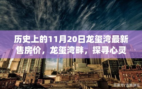 探尋心靈棲息之地，龍璽灣房價(jià)歷史與最新售價(jià)揭秘，自然治愈之旅啟程