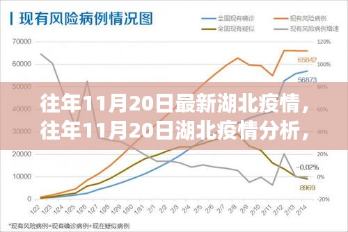 往年11月20日湖北疫情深度分析與解讀，最新數(shù)據(jù)、觀點(diǎn)闡述及趨勢(shì)預(yù)測(cè)