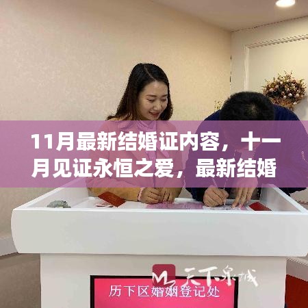 十一月見(jiàn)證永恒之愛(ài)，最新結(jié)婚證內(nèi)容深度解析