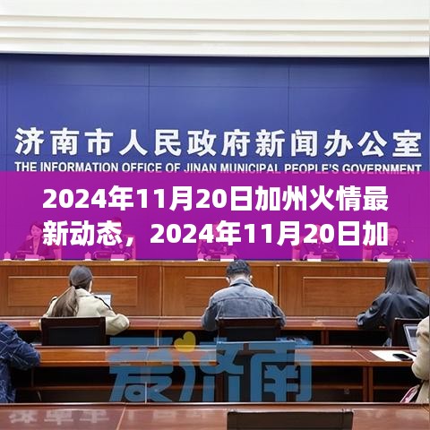 深度解析與個(gè)人立場下的加州火情最新動(dòng)態(tài)，多方觀點(diǎn)探討，2024年11月20日