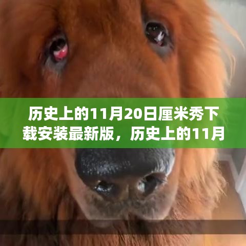 歷史上的11月20日，厘米秀最新版的探索之旅