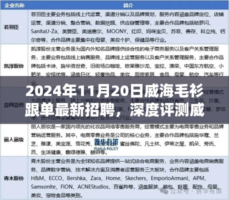 威海毛衫跟單最新招聘深度解析，特性、用戶體驗(yàn)與目標(biāo)受眾分析