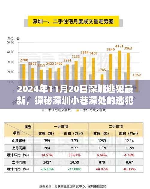 探秘深圳小巷深處的逃犯新去處，特色小店背后的故事（2024年11月20日深圳逃犯最新）