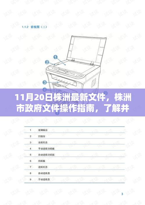 株洲市政府文件操作指南，解讀最新文件，適合初學者與進階用戶了解遵循（11月20日版）