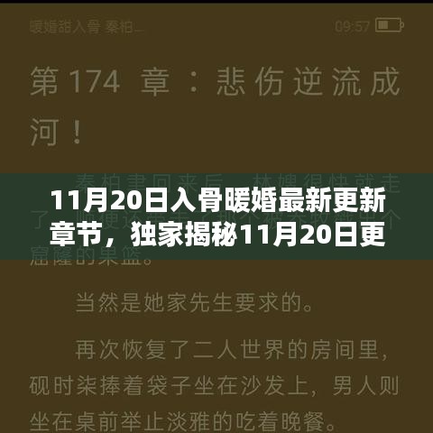 獨(dú)家揭秘，入骨暖婚最新更新章節(jié)，高科技革新重塑婚姻未來(lái)體驗(yàn)