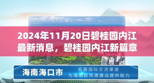 碧桂園內(nèi)江最新動(dòng)態(tài)，美好時(shí)光溫馨傳遞，愛在朋友間的日常篇章（2024年11月20日）