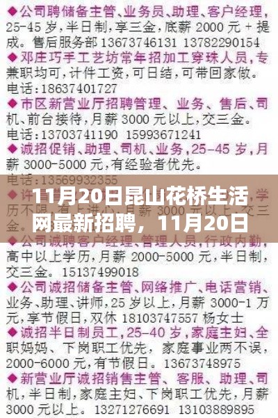 11月20日昆山花橋生活網(wǎng)最新招聘求職攻略，成功應(yīng)聘全解析