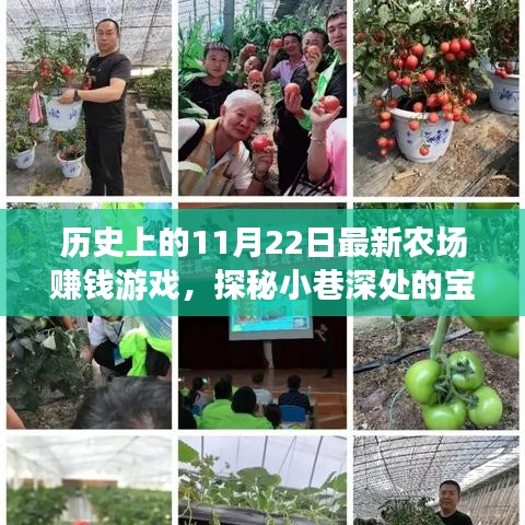 歷史上的11月22日最新農(nóng)場賺錢游戲，探秘小巷深處的寶藏，歷史上的11月22日，全新農(nóng)場賺錢游戲起源地