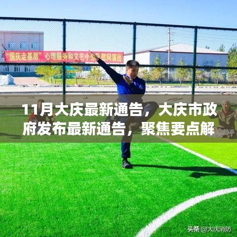 大慶市政府最新通告解讀，十一月新動態(tài)聚焦要點