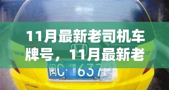 飛揚(yáng)撥扈 第6頁