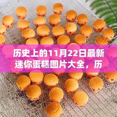 歷史上的11月22日迷你蛋糕圖片精選集，最新圖片大全展示