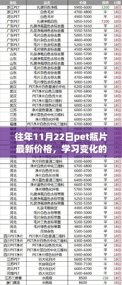 往年11月22日PET瓶片最新價(jià)格，探尋變化的力量，自信與成就的來(lái)源