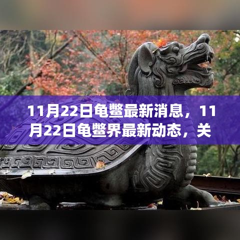 11月22日龜鱉界最新動(dòng)態(tài)，生態(tài)健康與保護(hù)進(jìn)展關(guān)注焦點(diǎn)