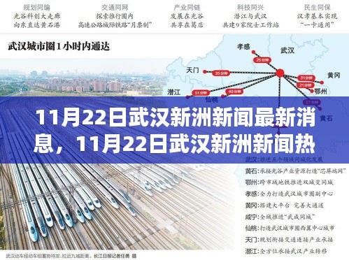 武漢新洲新聞熱點(diǎn)解析，最新消息與熱點(diǎn)解析（日期標(biāo)注）