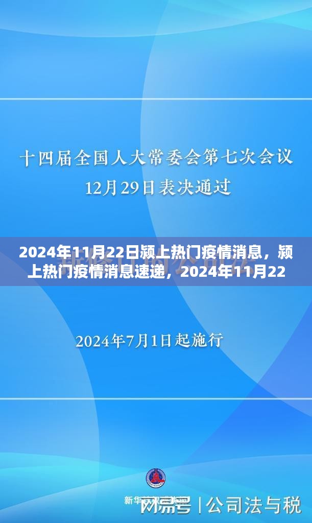 了解鹿瓷 第705頁