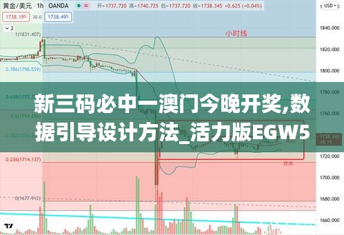 新三碼必中一澳門今晚開獎,數(shù)據(jù)引導設計方法_活力版EGW5.82