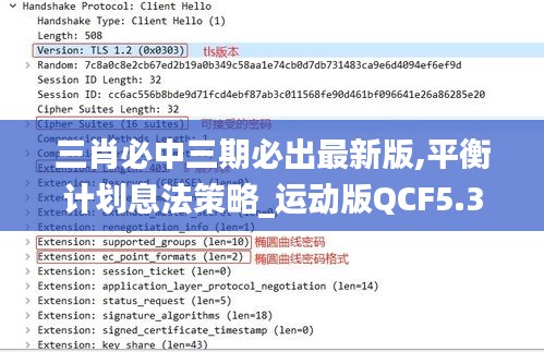 三肖必中三期必出最新版,平衡計劃息法策略_運(yùn)動版QCF5.31