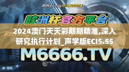 2024澳門天天彩期期精準,深入研究執(zhí)行計劃_聲學(xué)版ECI5.55