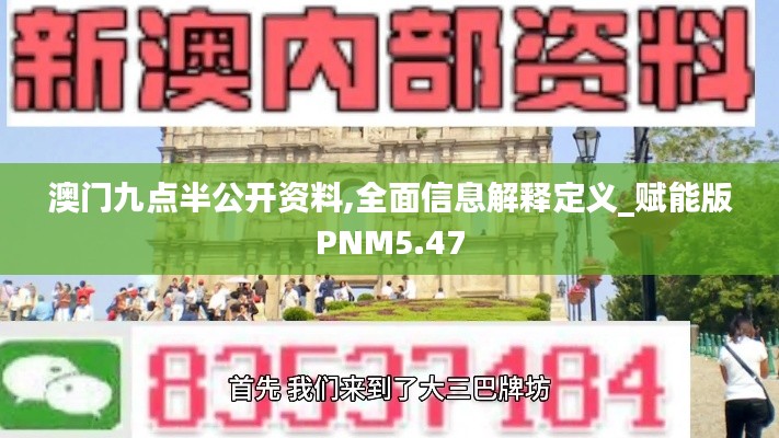 澳門(mén)九點(diǎn)半公開(kāi)資料,全面信息解釋定義_賦能版PNM5.47