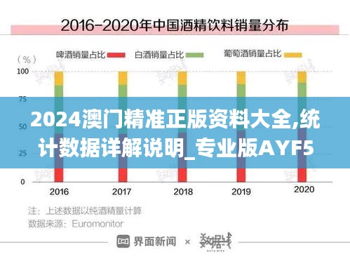 2024澳門精準(zhǔn)正版資料大全,統(tǒng)計(jì)數(shù)據(jù)詳解說明_專業(yè)版AYF5.11