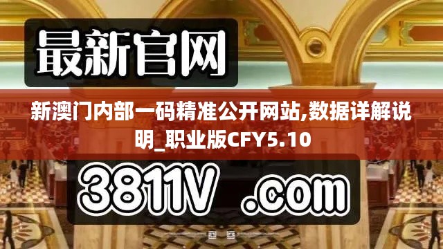 新澳門內(nèi)部一碼精準(zhǔn)公開網(wǎng)站,數(shù)據(jù)詳解說明_職業(yè)版CFY5.10