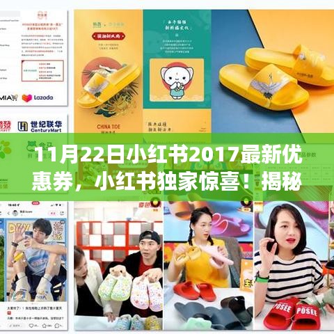 揭秘雙十一狂歡節(jié)背后的秘密，小紅書獨家優(yōu)惠券全解讀！