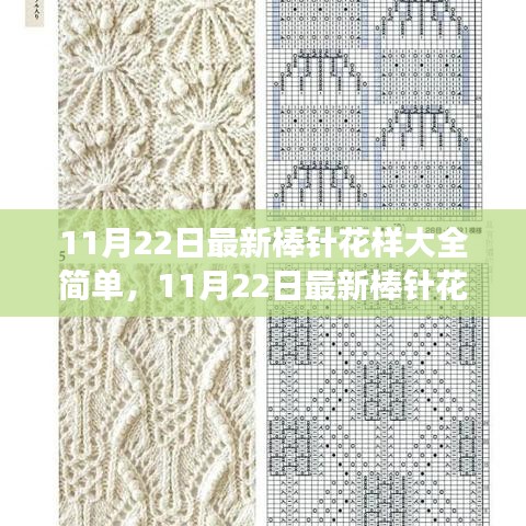 11月22日最新棒針花樣詳解，簡單編織藝術(shù)的全新魅力展現(xiàn)