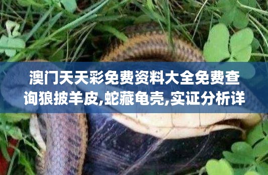 澳門天天彩免費資料大全免費查詢狼披羊皮,蛇藏龜殼,實證分析詳細(xì)枕_圖形版ZDK5.98